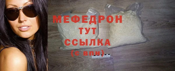 индика Инта