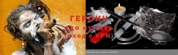 индика Инта