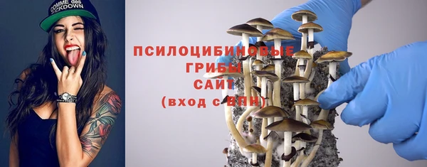 индика Инта