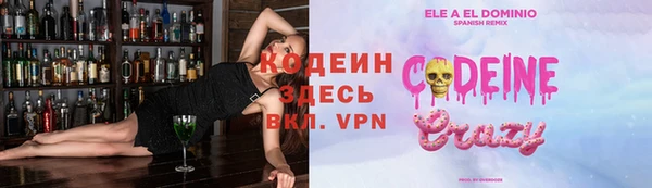 индика Инта