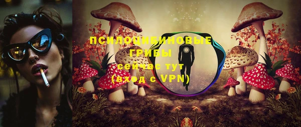 марки lsd Заводоуковск