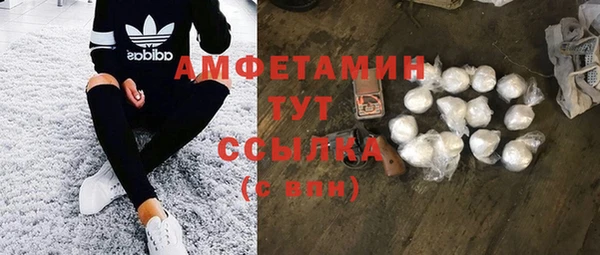 мет Инсар