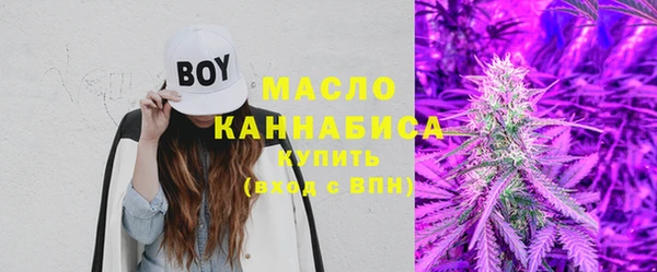 индика Инта