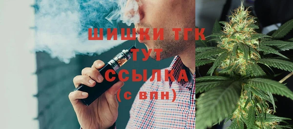 мет Инсар