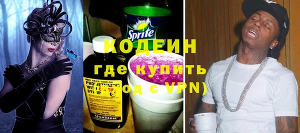 индика Инта