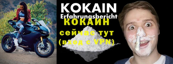 индика Инта