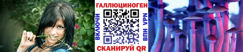 MEGA как зайти  Новый Уренгой  Псилоцибиновые грибы Psilocybine cubensis 