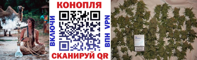 Каннабис планчик  Новый Уренгой 